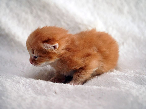 Olli am 8. März 2025